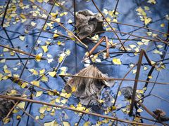 -四川大学(华西校区)