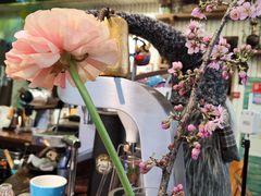 -六月花园咖啡馆(中关村东路店)
