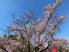 -东方绿舟景区