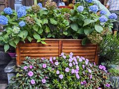 -龙姐私房菜(和顺古镇店)