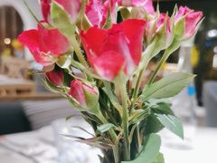 -Mezomd曼索蒂西班牙餐厅(广粤店)