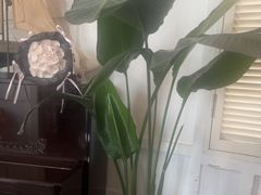 -22ºN BISTRO西餐&酒馆(石奥商业街店)