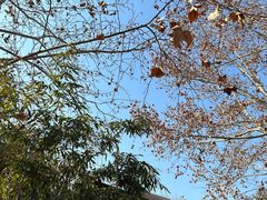 -春晖园度假酒店温泉