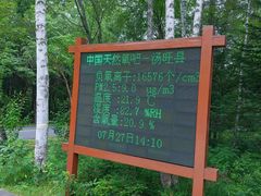 -汤旺河林海奇石景区