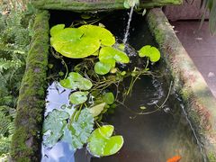 -赤宴·川菜(玉林店)