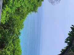 -美人鱼悬崖海景餐厅(鹿嘴山庄店)