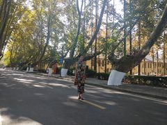 -T80科技文化国际社区-停车场