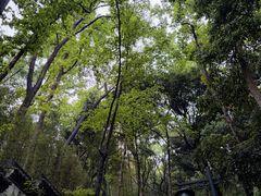 -灵顺寺