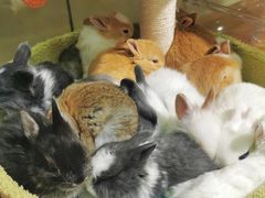 -三旗百汇商品城