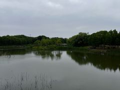 -贡湖湾湿地公园