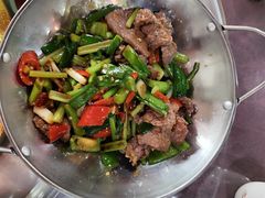 -东鸽皇(奥园·中环广场店)