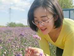 -羊亭河湿地公园