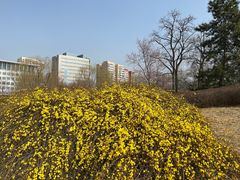 -元大都城垣遗址公园