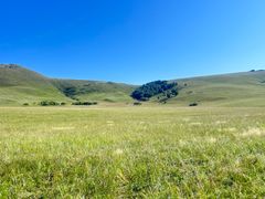 -塞罕坝国家级自然保护区