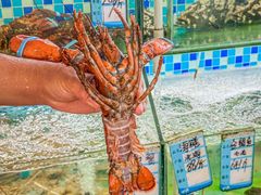 -汪姐海鲜(侨港金冠好店)