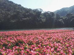 景点-广州市石门国家森林公园