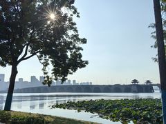-武汉动物园