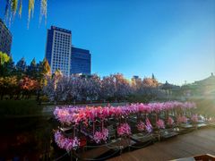 -元大都城垣遗址公园