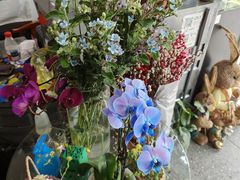 -FEI FEI FLOWER鲜花店·气球派对·宝宝宴布置(虹口德必运动Loft店)