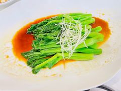白灼广东菜心-满堂·烤鸭店·北京菜(鼓楼店)