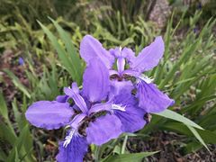 -国际非物质文化遗产博览园