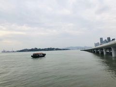 -演武大桥观景平台