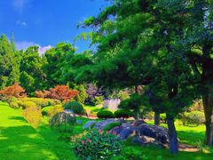 -八大关景区