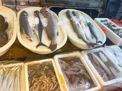 -芦潮港集贸市场