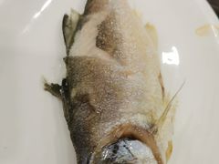 -长平肥姐白粥·海鲜打冷