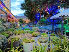 -山菌美食苑(振兴路店)