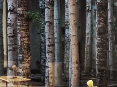 -Metal hands·铁手咖啡