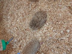 -珠海海泉湾神秘岛亲子乐园