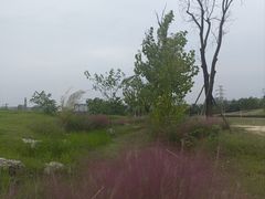 -三圣花乡旅游区