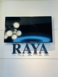 -RAYA韩国造型