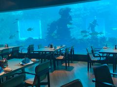 -海棠湾洲际-涛·海底餐厅·美人鱼·自助餐·海底隧道