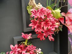 -上海鲜花港