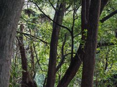 -南山风景名胜区