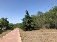 -白水寺森林公园