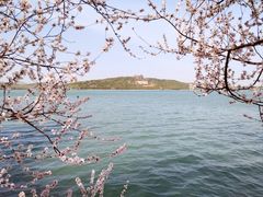 -颐和园-景明楼