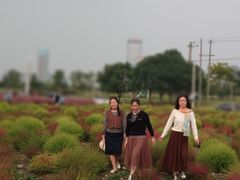 -映月湖中央公园