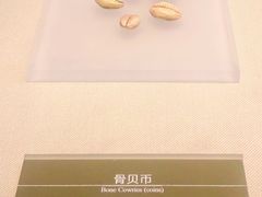 -嘉定博物馆