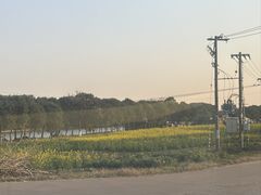 -粤塔x电竞酒店(深圳龙华大浪后浪新天地店)