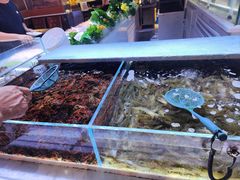 -聚盛源蒸汽海鲜火锅烤肉自助(巨川金海岸购物广场店)