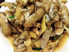 -十里铺铁板鱿鱼