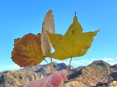 -玉渡山自然风景区