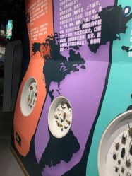 -七巧国萌宠乐园(龙湖天街店)