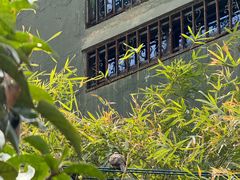 -徐家汇源景区-衡山公园