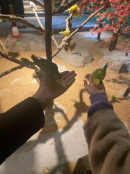 -酷嗒动物文化乐园(cutezoo西溪乐天城店)