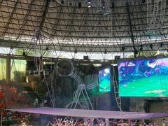 -杭州野生动物世界