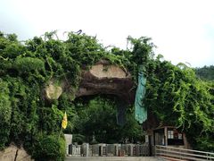 -石老人观光园